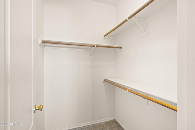 spacious closet with carpet floors