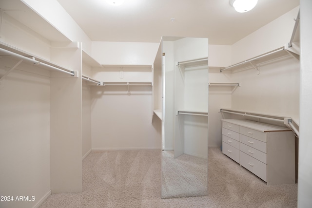 spacious closet featuring light colored carpet