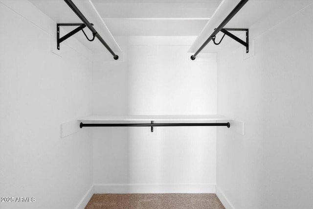 2559 E Broadway Rd, Phoenix, AZ 85040 - spacious closet featuring carpet floors