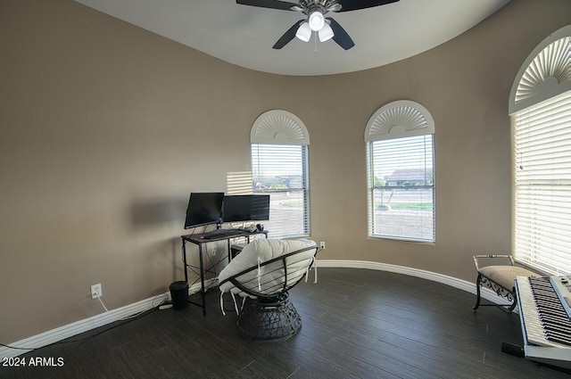 office space featuring dark hardwood / wood-style floors and ceiling fan