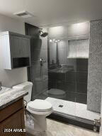 bathroom with vanity, toilet, and tiled shower