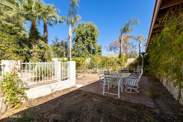 view of yard with a patio