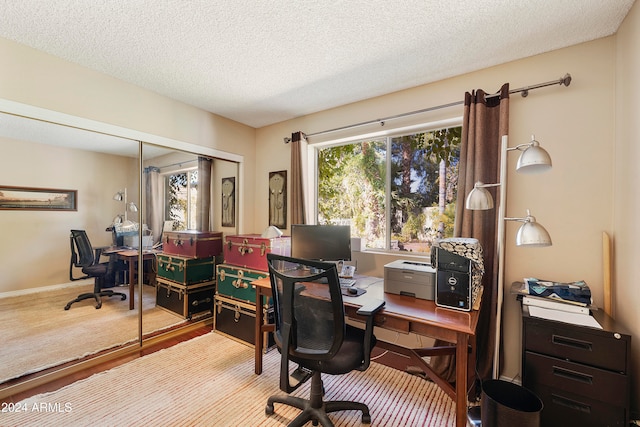 office with light hardwood / wood-style floors, a textured ceiling, and a healthy amount of sunlight