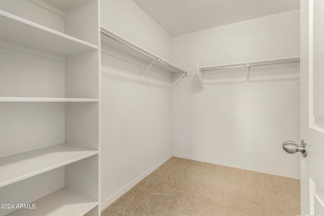 spacious closet with carpet floors