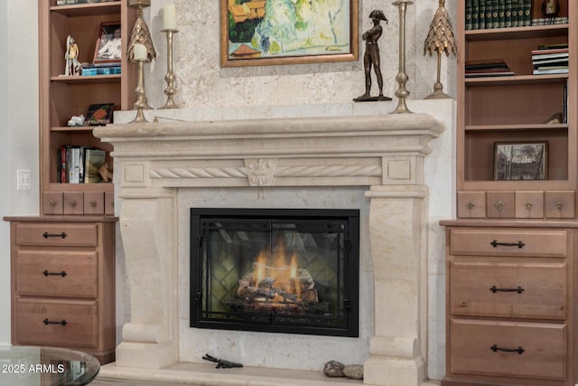 room details with built in features and a premium fireplace