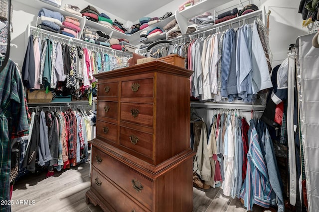 spacious closet with light hardwood / wood-style flooring