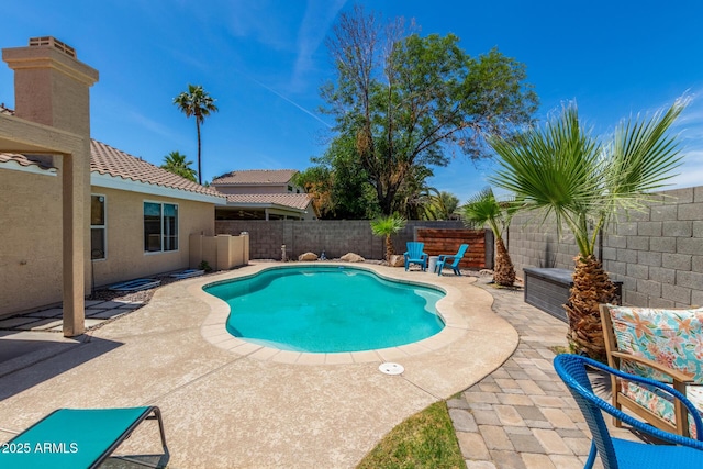 view of pool featuring a fenced in pool, a fenced backyard, and a patio area