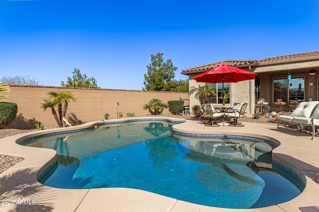 view of swimming pool with a patio, a fenced backyard, and a fenced in pool