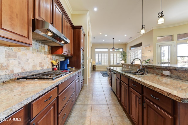 20609 N Canyon Whisper Dr, Surprise, AZ 85387 - kitchen with appliances with stainless steel finishes, a sink, tasteful backsplash, under cabinet range hood, and ornamental molding