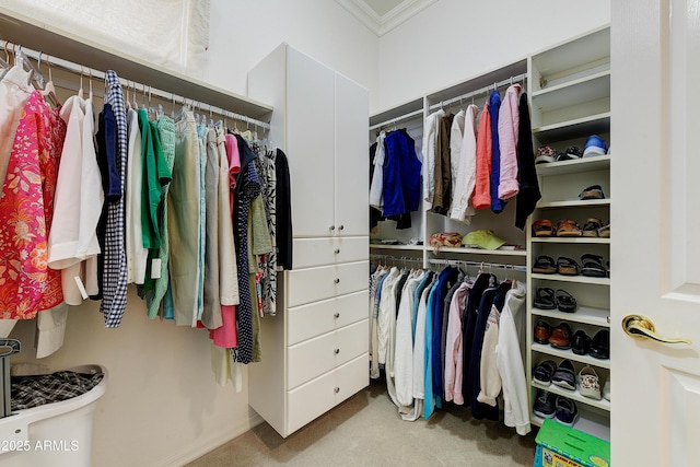20609 N Canyon Whisper Dr, Surprise, AZ 85387 - spacious closet with carpet flooring