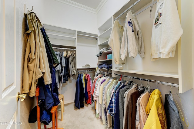 20609 N Canyon Whisper Dr, Surprise, AZ 85387 - spacious closet featuring carpet