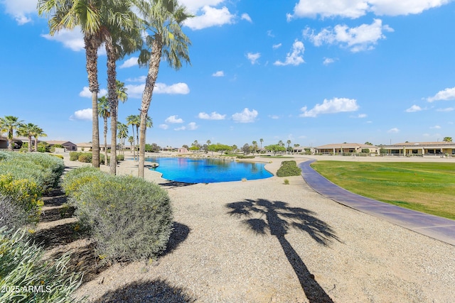 20609 N Canyon Whisper Dr, Surprise, AZ 85387 - outdoor pool with a lawn