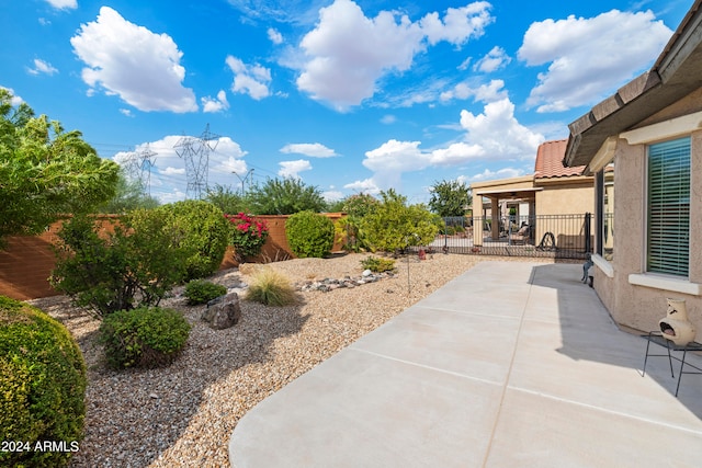 view of yard featuring a patio area