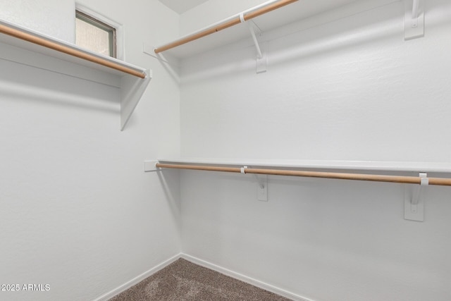 12838 W Desert Mirage Dr, Peoria, AZ 85383 - walk in closet with dark colored carpet