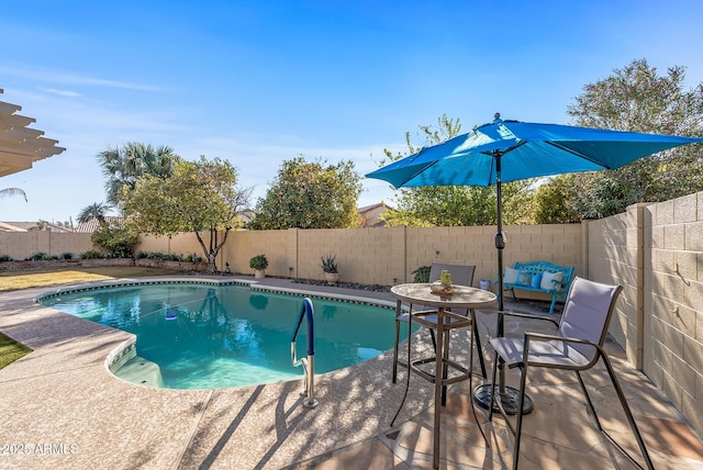 view of swimming pool with a patio