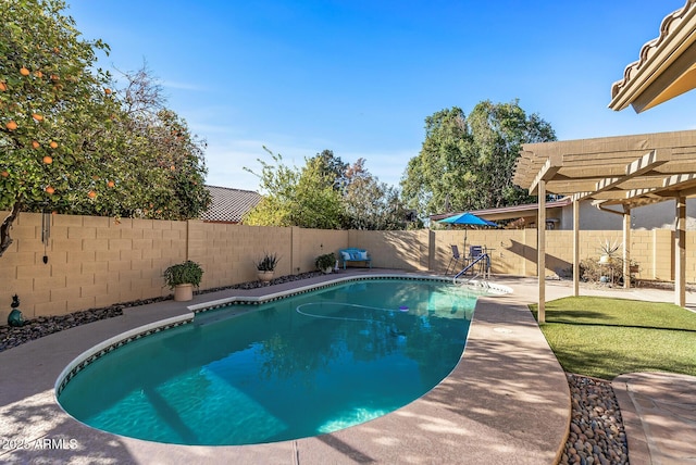 view of swimming pool featuring a pergola and a patio area