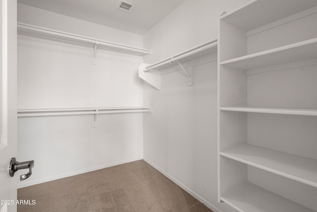 walk in closet with carpet floors