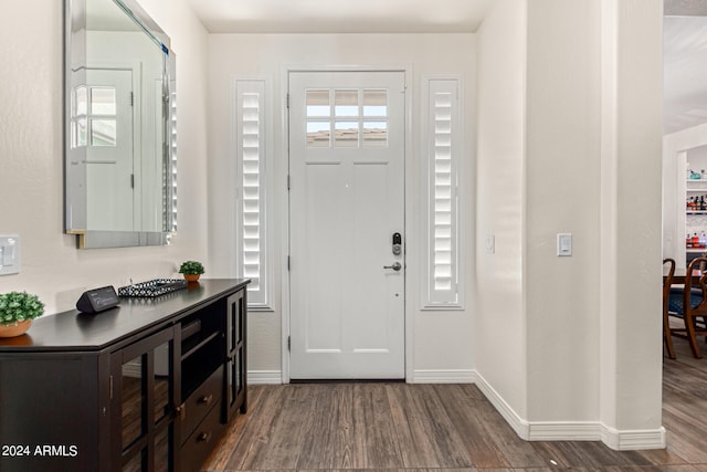 entrance foyer featuring dark wood-type flooring