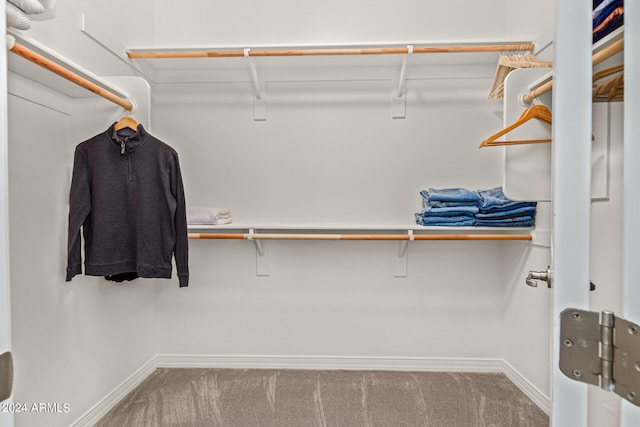 spacious closet with carpet