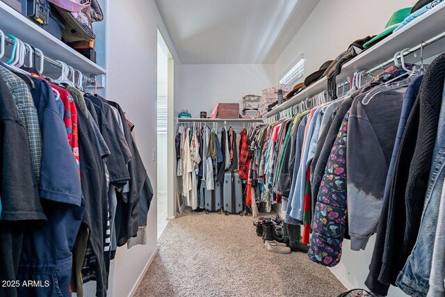 spacious closet featuring carpet flooring