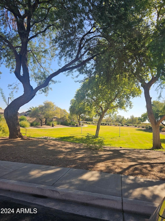 surrounding community featuring a yard