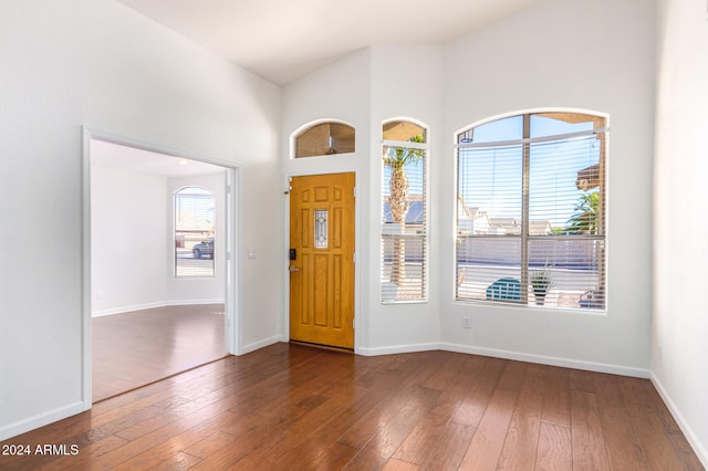 entryway featuring dark hardwood / wood-style floors, a healthy amount of sunlight, and a high ceiling