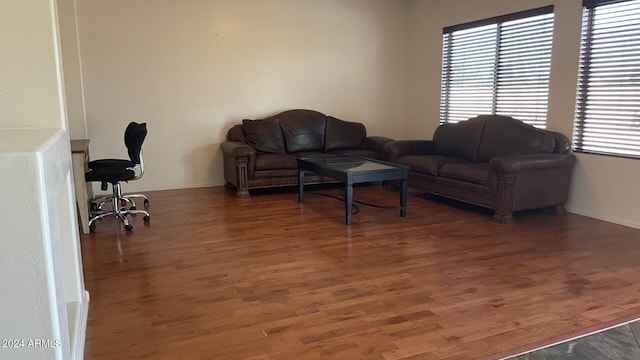 living room with dark hardwood / wood-style floors