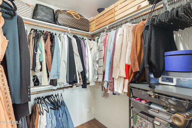 spacious closet featuring wood-type flooring