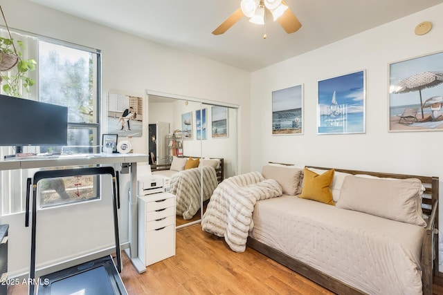 bedroom with ceiling fan and light hardwood / wood-style flooring