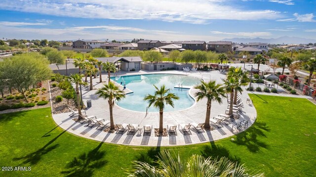 view of pool featuring a residential view and a lawn