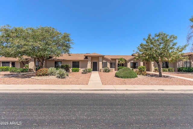 ranch-style home featuring stucco siding