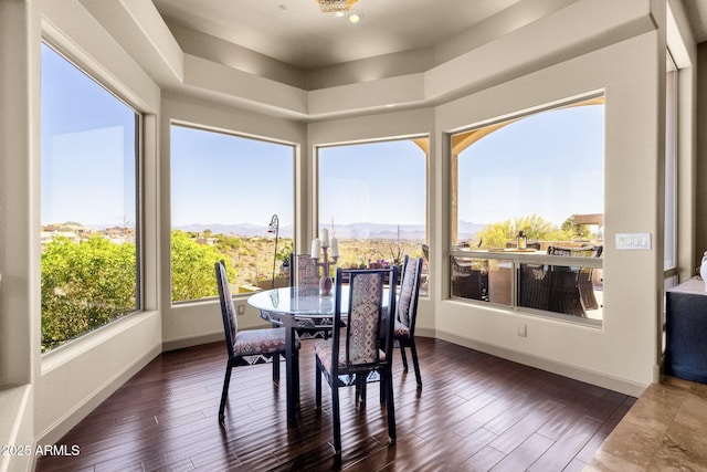 sunroom / solarium featuring baseboards, wood finished floors, and a mountain view