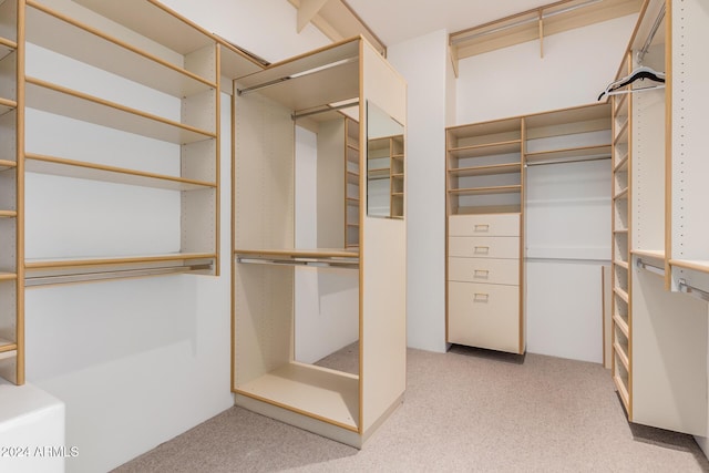 spacious closet with light colored carpet