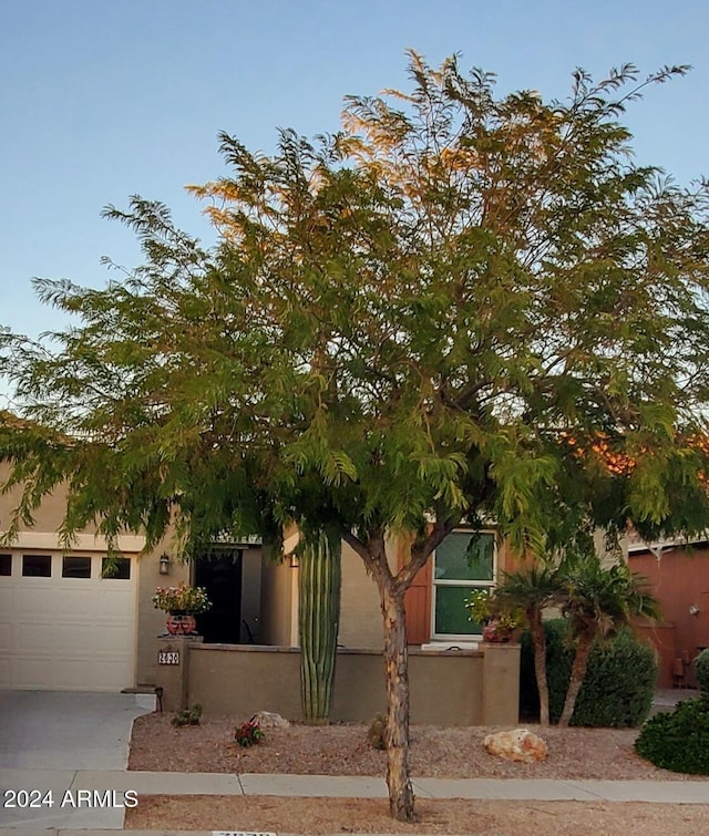 view of property hidden behind natural elements featuring a garage