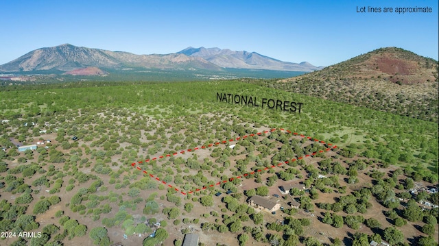 7780 Mickelsons Rd Unit 11304003C, Flagstaff AZ, 86004 land for sale