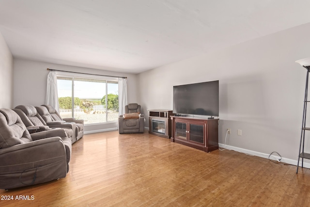 living room featuring wood-type flooring