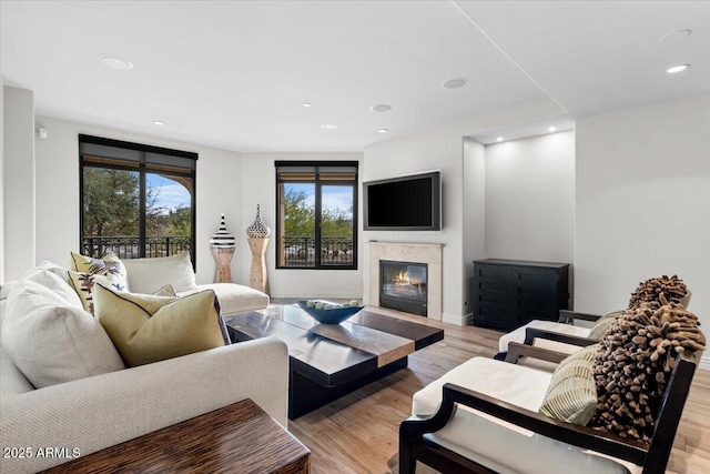 living room featuring a fireplace and light hardwood / wood-style flooring