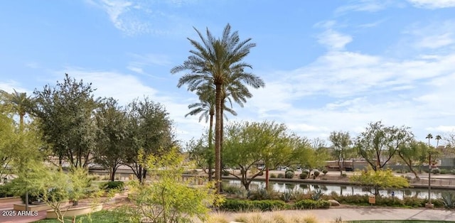 view of home's community featuring a water view