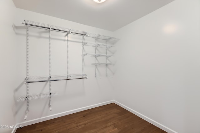 walk in closet featuring dark wood-style flooring