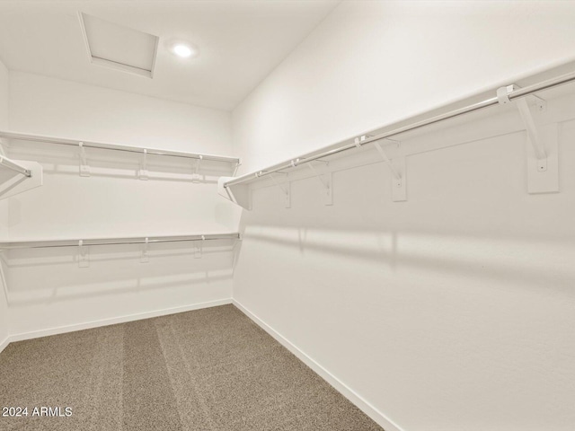 spacious closet with carpet