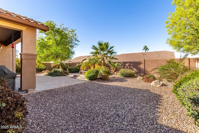 view of yard featuring a patio area