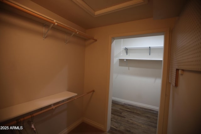 walk in closet featuring dark wood-style floors