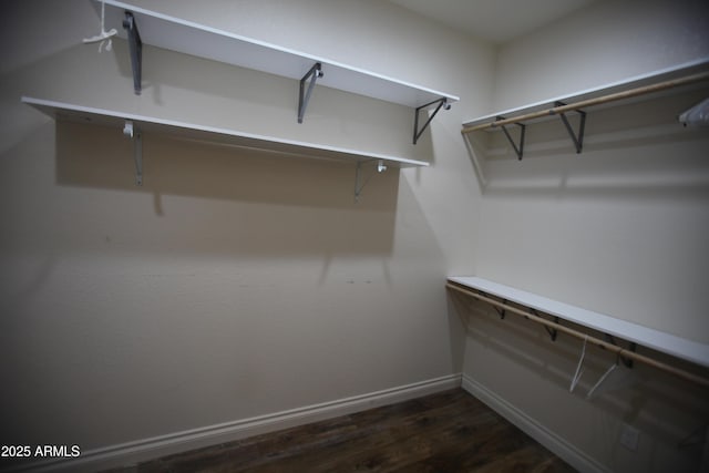 spacious closet with dark wood-style floors