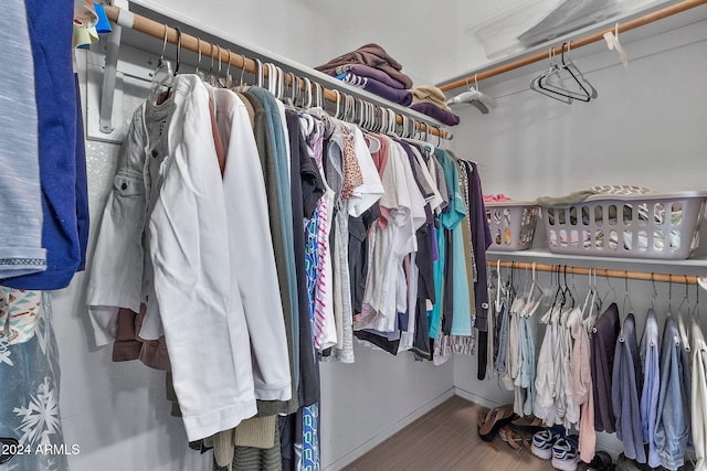 view of spacious closet