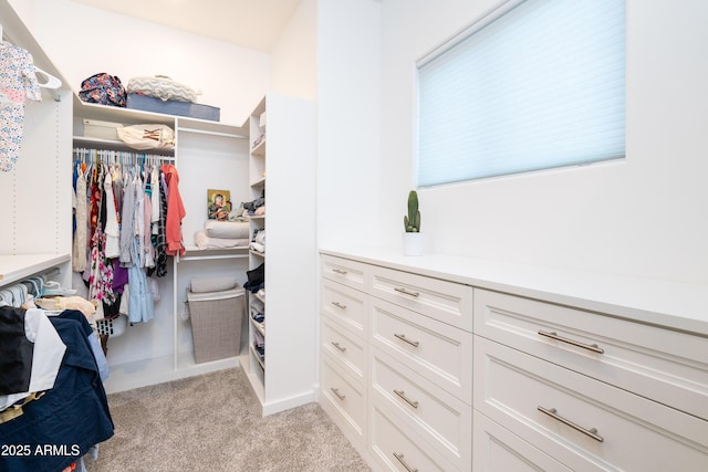 walk in closet with light colored carpet
