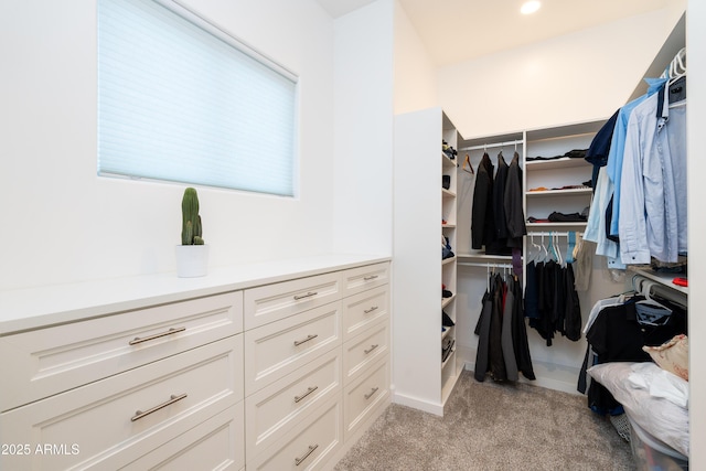 spacious closet with light colored carpet