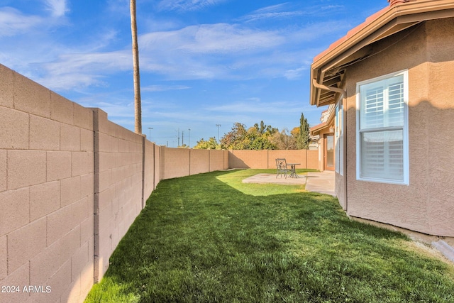 view of yard with a patio