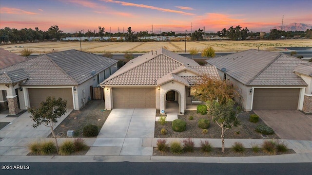 view of front of property with a garage