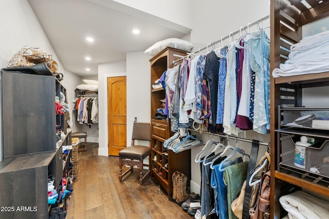 walk in closet featuring wood finished floors