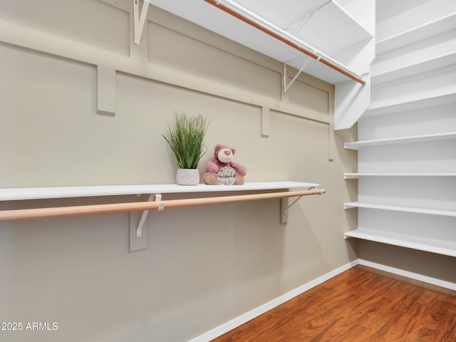 spacious closet with wood-type flooring